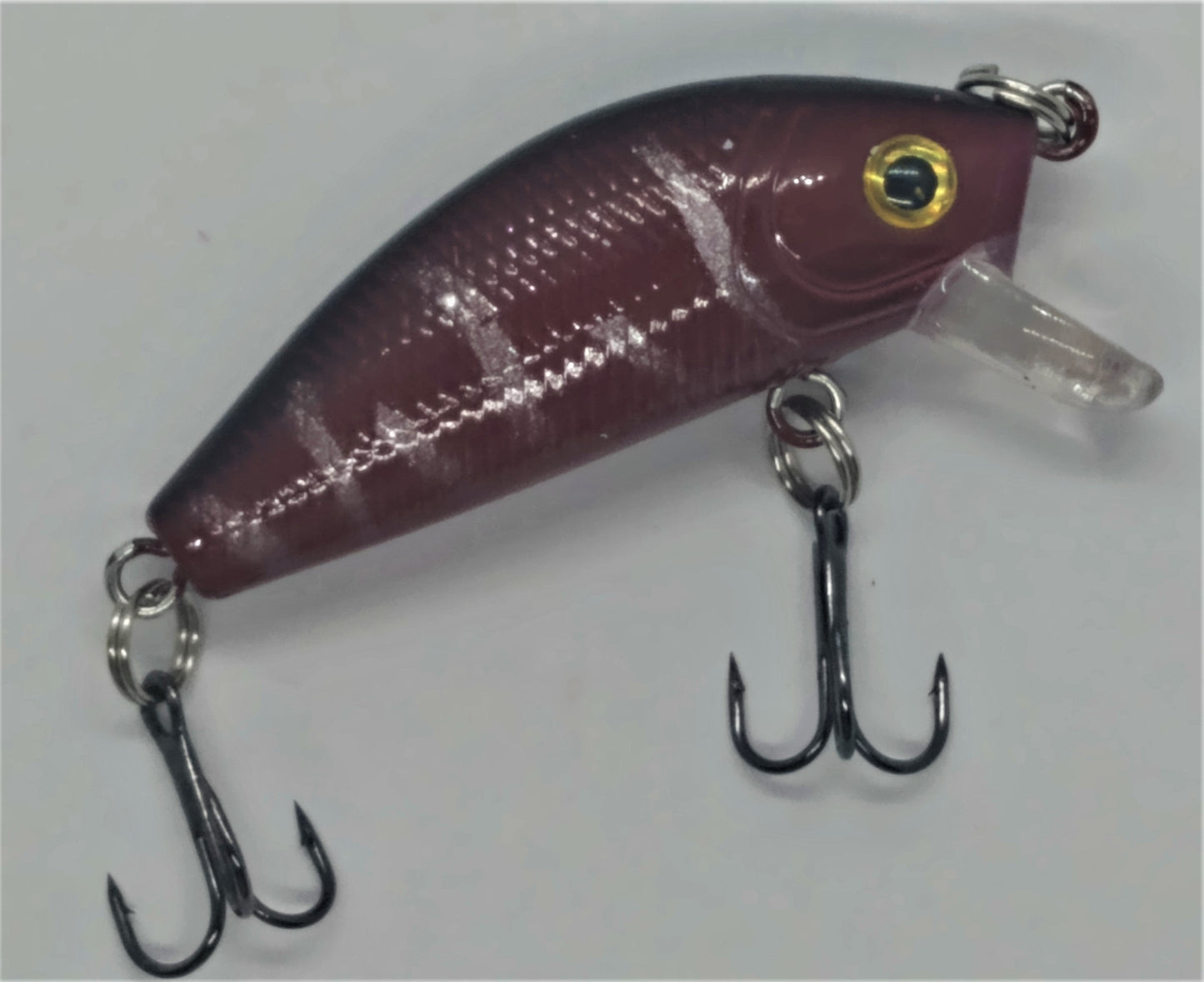 Buffalo Shad - Big Eye Cardinal