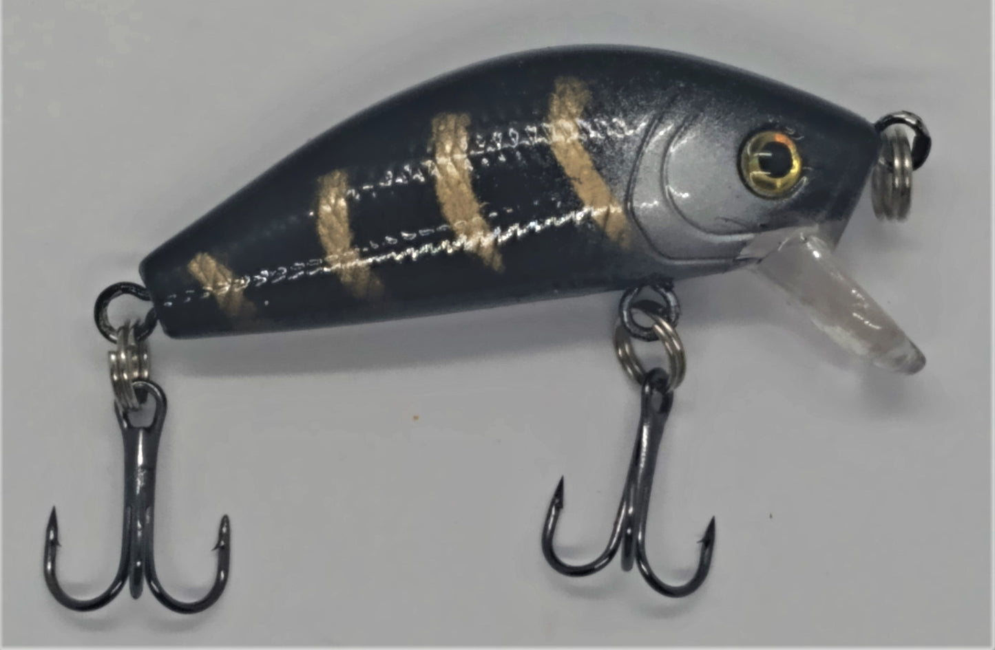 Buffalo Shad - Buffy