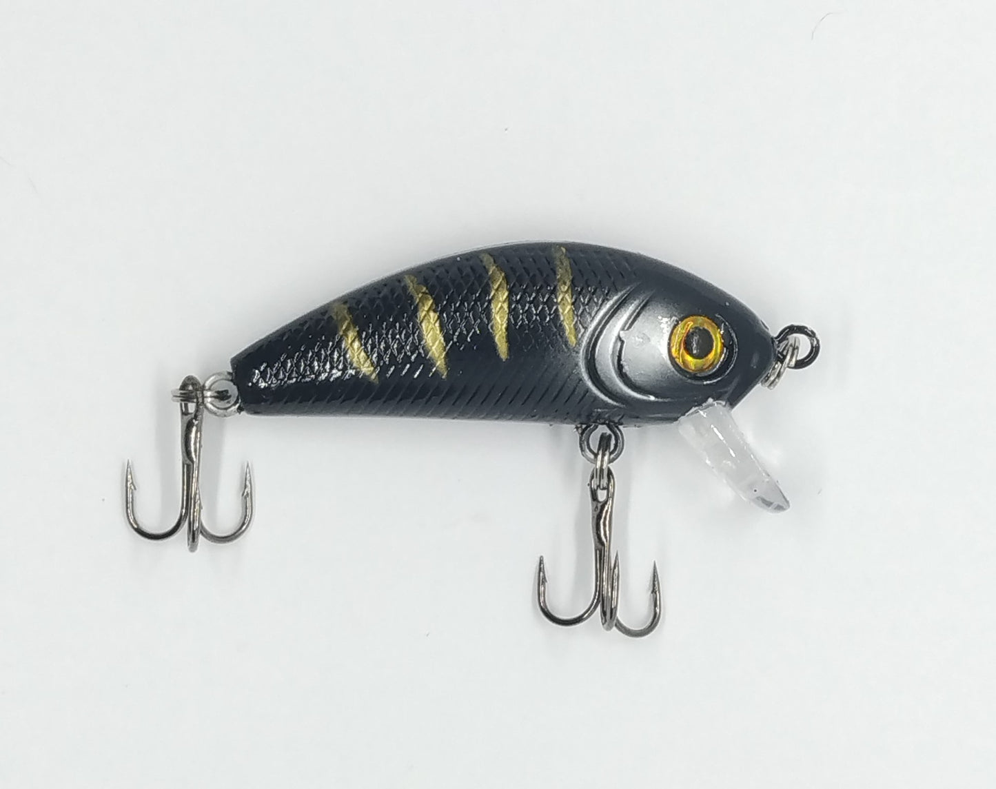 Buffalo Shad - Big Eye Buff
