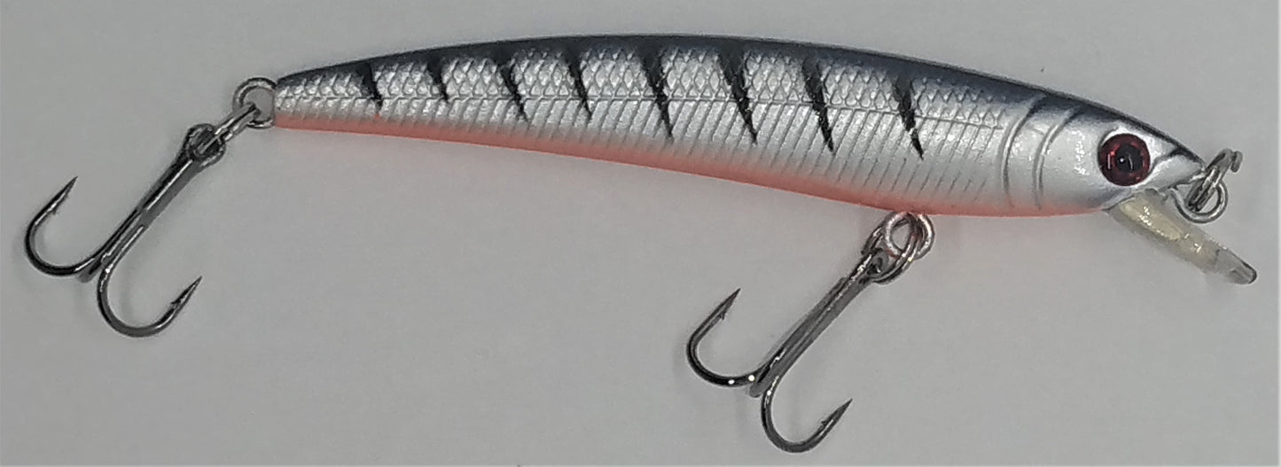 Minnow - Tiger Shiner - Red Eye