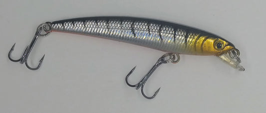 Minnow - Tiger Shiner