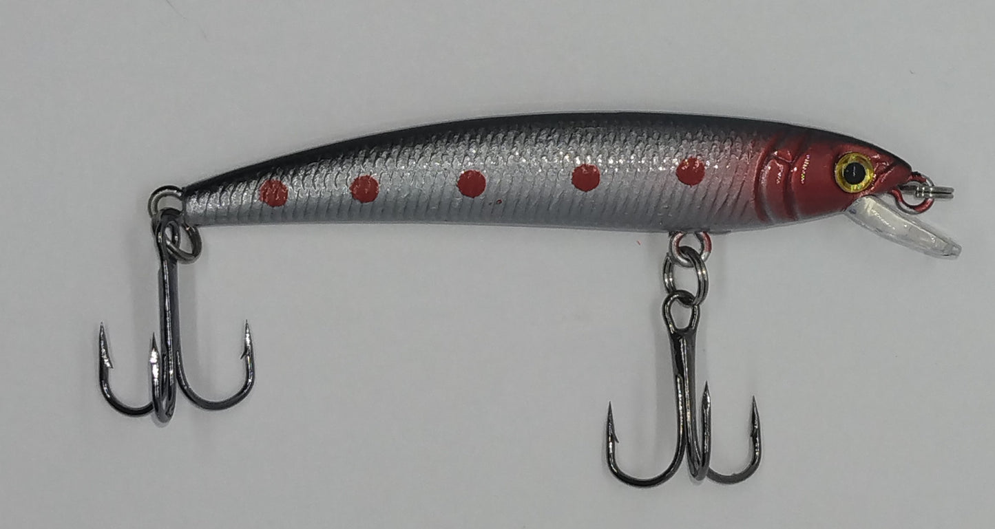 Minnow - Spotted Bomber